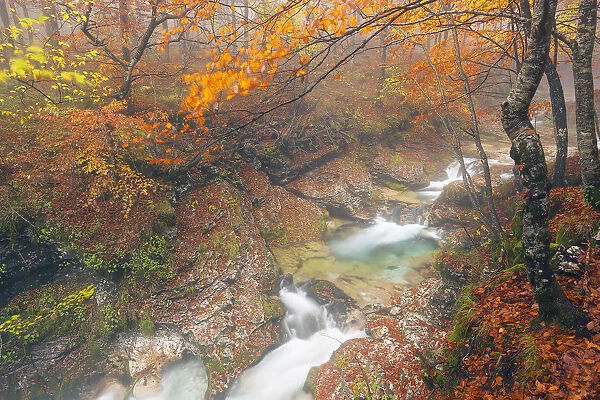 Italy, Friuli Venezia Giulia, Valley Arzino in autumn