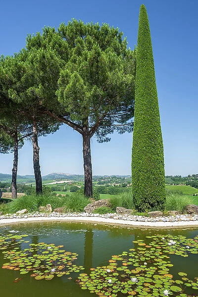 Italy, Tuscany, Siena, The garden and the pond of the winery Bindella near to Montepulciano