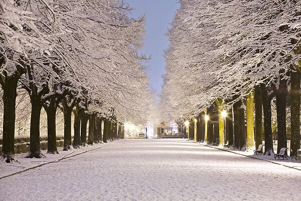 Italy, Umbria, Terni district, Terni, passeggiata, public garden in winter