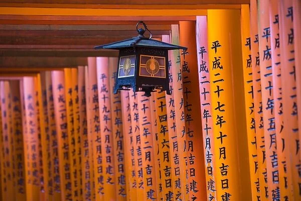 Japan, Kyoto, Fushimi Inari Shrine, vermilion torii gates, Donated and inscribed by businesses