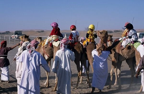 Jockeys and camels line up at the start of a race at