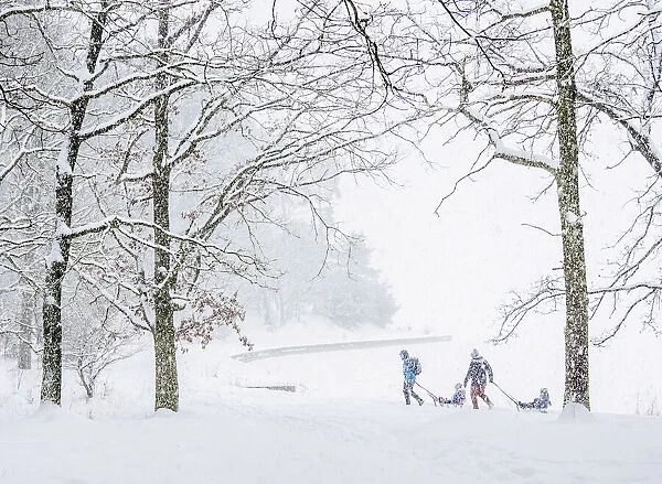 Kids on sledges by the Zemborzycki lakefront at snowstorm, Lublin, Lublin Voivodeship