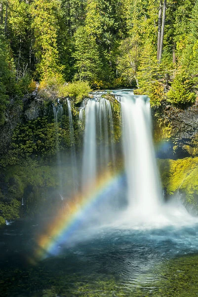 Koosah Falls with Rainbow, Willamette National Forest, Oregon, USA