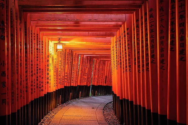 Kyoto Japan. Fushimi Inari Taisha Shrine at sunrise