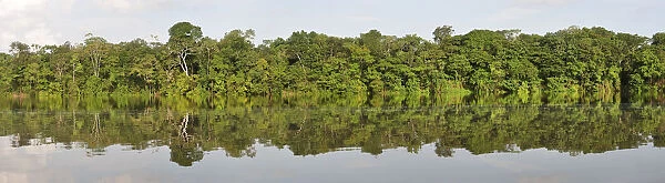 Lago de Tarapoto, Amazon River, near Puerto Narino, Colombia