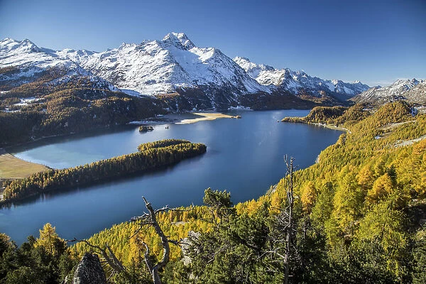 Lake Sils with its shores painted by autumn