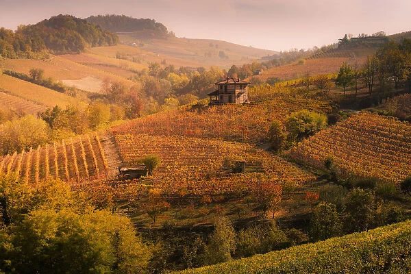 Langhe, Piedmont, Italy. Autumn landscape with vineyards and hills