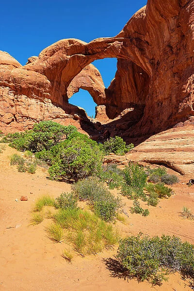 Low angle view of popular Double Arch on sunny day, Arches National Park, Utah, USA