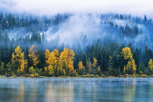 Low Mist and Autumn Trees Reflecting in Lake Wenatchee, Wenatchee National Forest