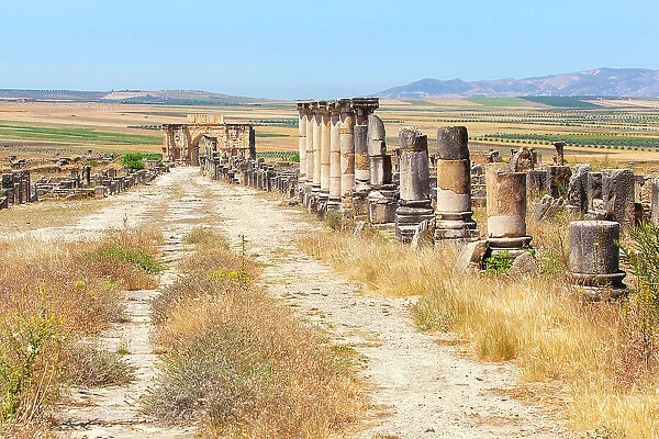The main road (Decumanus Maximus) of the ancient Roman ruins of Volubilis, near Meknes, Morocco