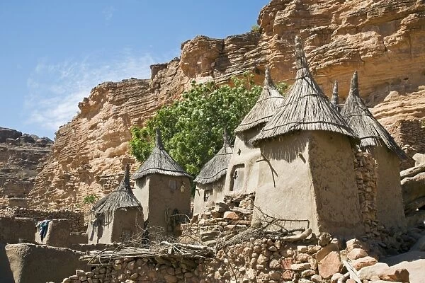Mali, Dogon Country, Tereli
