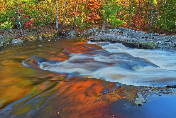 Maple Trees reflected in the Rosseau River at Lower Rosseau Falls in autumn Rosseau Ontario, Canada