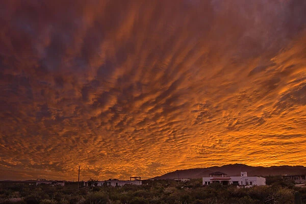 Mexico, Baja California Sur, El Sargento, sunset