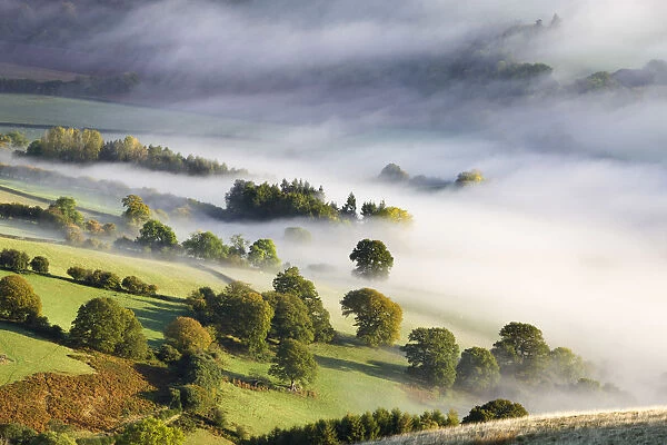 Mist covered rolling countryside in the Usk Valley, Brecon Beacons National Park, Powys