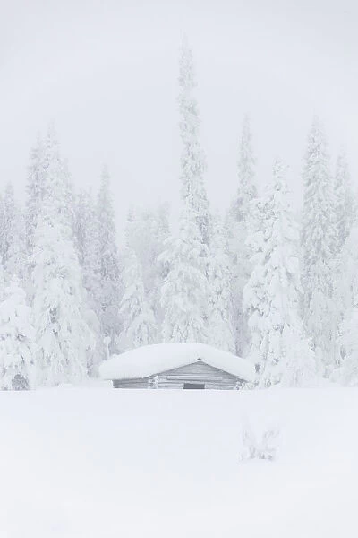 Mist on snow covered hut, Levi, Kittila, Lapland, Finland