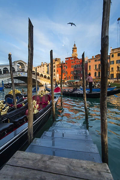 Moored gondolas in front of the Rialto bridge at sunset. Venice, Veneto, Italy