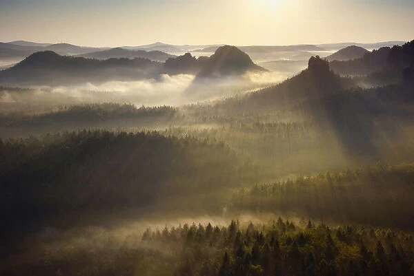 Morning atmosphere in the Elbe Sandstone Mountains, view of the Hintere Raubschlosz or Winterstein, fog in the valley, Saxon Switzerland National Park, Saxony, Germany, Europe