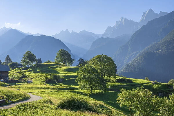 Morning the Bondasca mountain range from Soglio, Bergell, Grisons (Graubunden), Switzerland