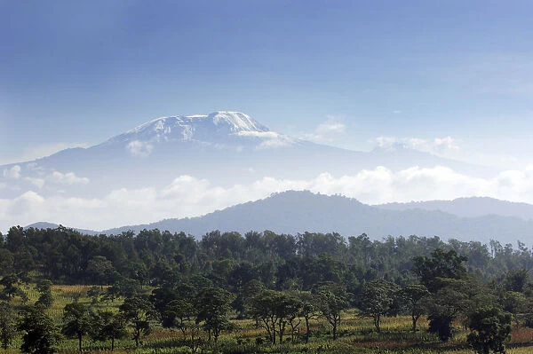 Mount Kilimanjaro with trees in front, from Tanzania