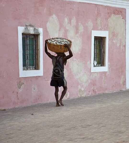 Mozambique, Ihla de Mozambique, Stone Town. A man walks with his catch through the brightly-painted buildings