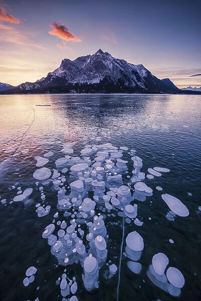 Mt. Michener & Frozen Bubbles in Abraham Lake at Sunrise, Kootenay Plains, Alberta