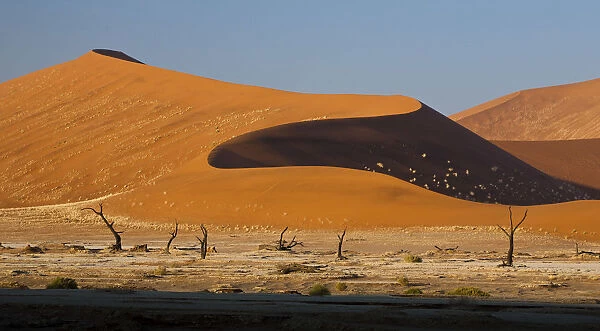 The Namib Desert sand dunes turning from tinted pink to deep orange
