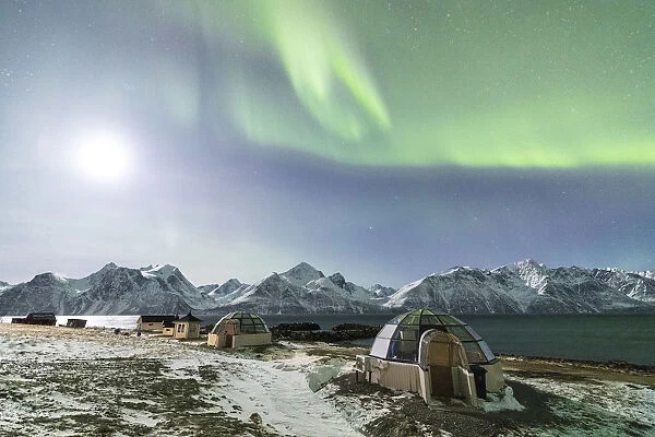The Northern Lights and moon illuminate the glass igloos framed by icy sea Djupvik Lyngen Alps Tromso Norway Europe