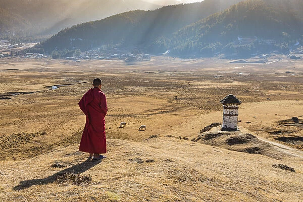 Novice Monks (Child Monks) looking at stupa in Phobjikha Valley, Bhutan