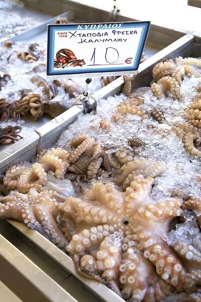 Octopus In The Market, Kalymnos, Dodecanese, Greek Islands, Greece, Europe