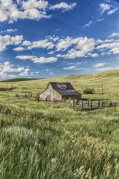 Old barn, Montana, USA