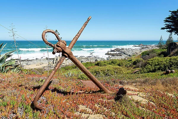 Old rusty anchor in garden by sea, Pablo Neruda Museum, Isla Negra, El Quisco, San Antonio Province, Valparaiso Region, Chile