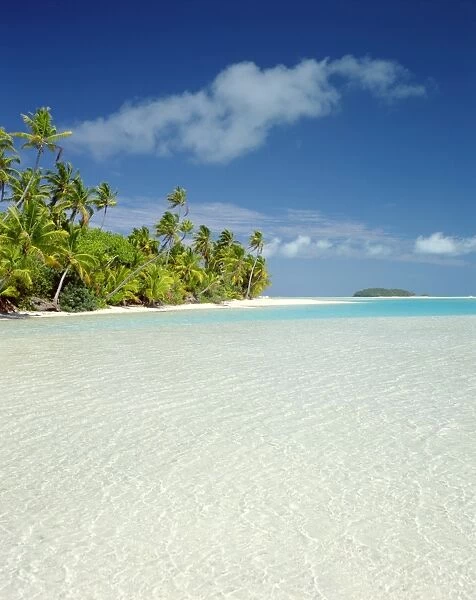 Palm Trees & Tropical Beach, Aitutaki Island, Cook Islands, Polynesia