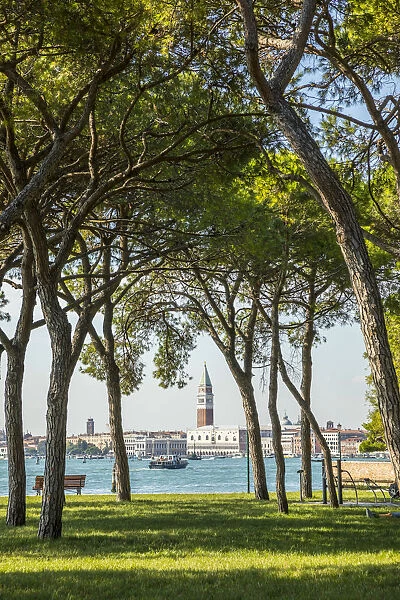 Parco delle Rimembranze, Sant Elena, Venice, Italy