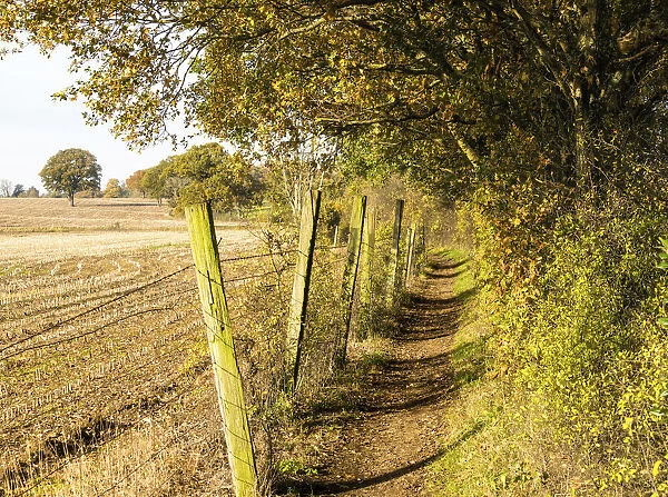 A path in Darlands Nature Reserve, Borough of Barnet, London, England
