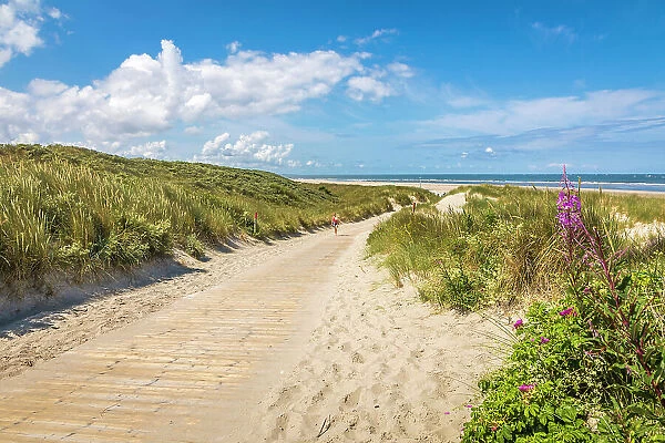 Path through the dunes to the north beach of Spiekeroog, East Frisian Islands, East Frisia, Lower Saxony, Germany