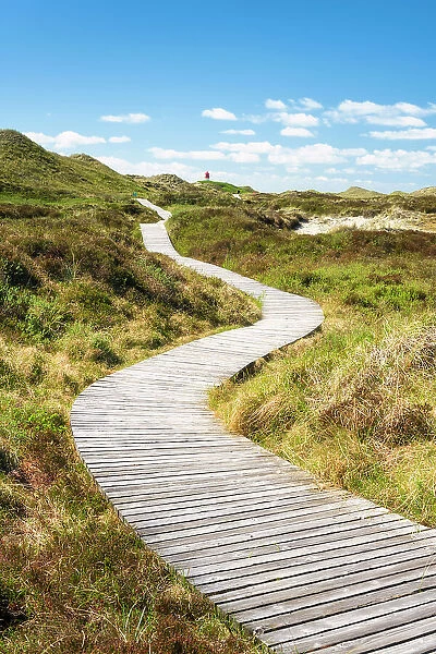 Path to the lighthouse, Amrum island, National Park Schleswig-Holsteinisches Wattenmeer, Amrum island, North Sea, North Friesland, Germany, Europe