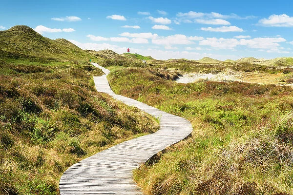 Path to the lighthouse, Amrum island, National Park Schleswig-Holsteinisches Wattenmeer, Amrum island, North Sea, North Friesland, Germany, Europe