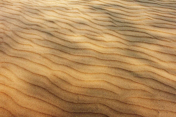 Pattern in the sandy beach of Lake Winnipeg Grand Beach Provincial Park, Manitoba, Canada