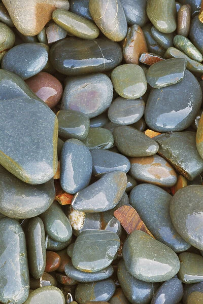 Pebbles on the beach - United Kingdom, England, Devon, Bude, Sandymouth Bay
