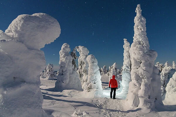 One person admiring the ice sculptures in the frozen forest at night, Riisitunturi National Park, Posio, Lapland, Finland (MR)