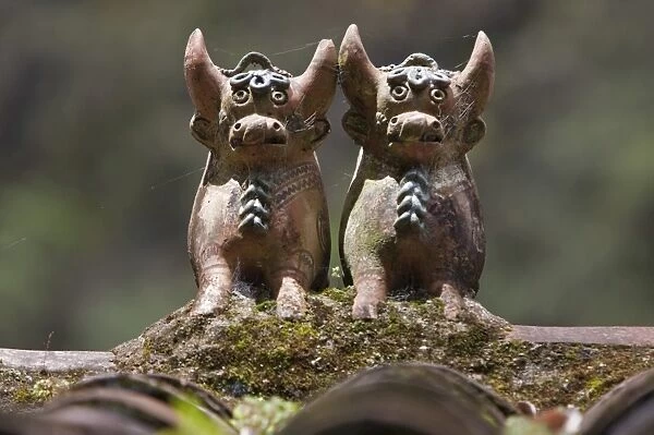 Peru, Clay bulls are common rooftop ornaments throughout Peru. Said to bring good luck