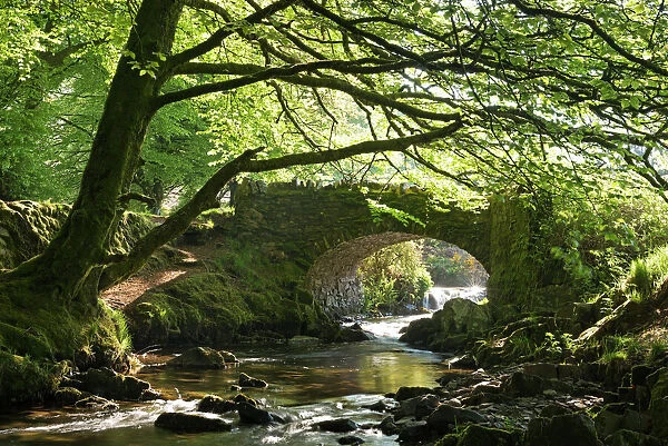 Picturesque Robbers Bridge near Oare, Exmoor, Somerset, England. Spring (May)