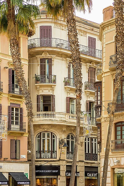 Plaza de la Constitucion, Malaga City, Andalusia, Spain