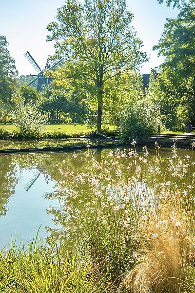 Pond in the spa park of Bad Zwischenahn, Oldenburger Land, Lower Saxony, Germany
