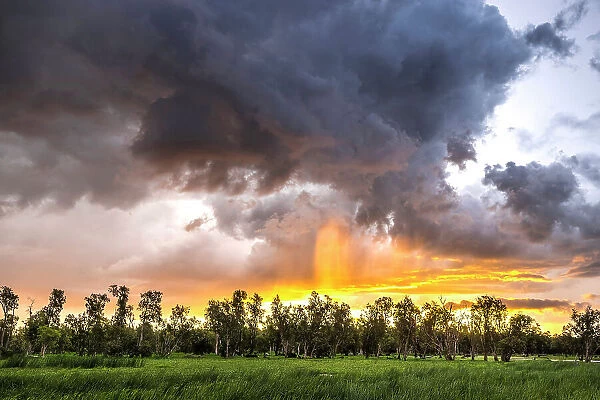 Rain over Swim Creek floodplain at sunset, Bamurru Plains, Northern Territory, Australia