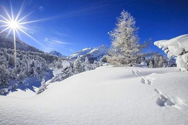 Rays of winter sun illuminate the snowy landscape around Maloja Canton of GraubA Aonden