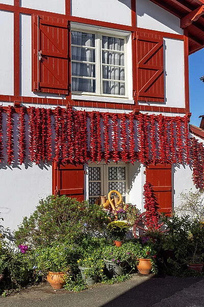 Red chillis hang up in front of a traditional Basque house, Espelette, Province of Labourd, Pyrenees-Atlantiques, Nouvelle Aquitaine, France