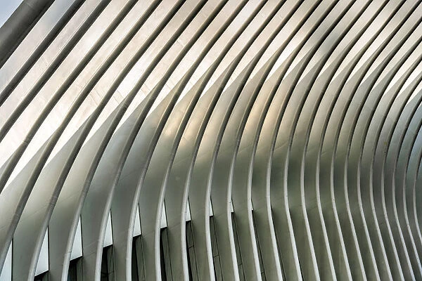 Ribs of Oculus station house designed by architect Santiago Calatrava