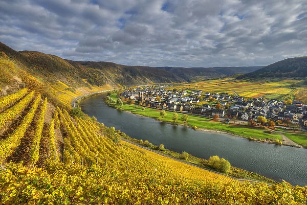River Mosel with Ernst at fall, Rhineland-Palatinate, Germany