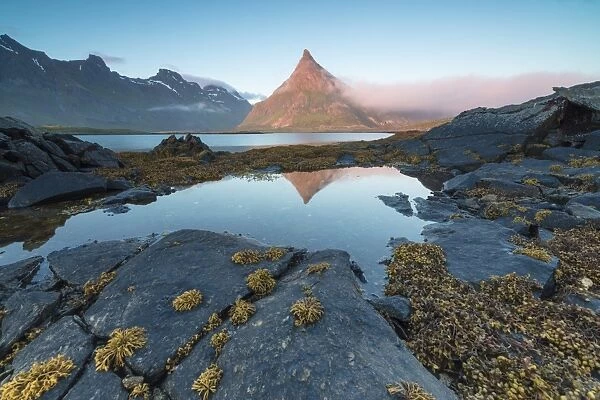 The rocky peak of Volanstinden lighted up by the midnight sun is reflected in blue